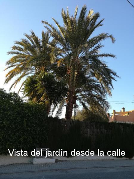 Apartament Sun & Palm Trees Balsares Zewnętrze zdjęcie