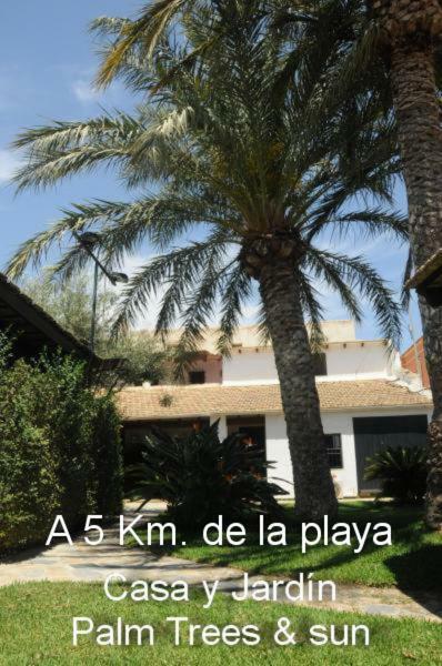 Apartament Sun & Palm Trees Balsares Zewnętrze zdjęcie