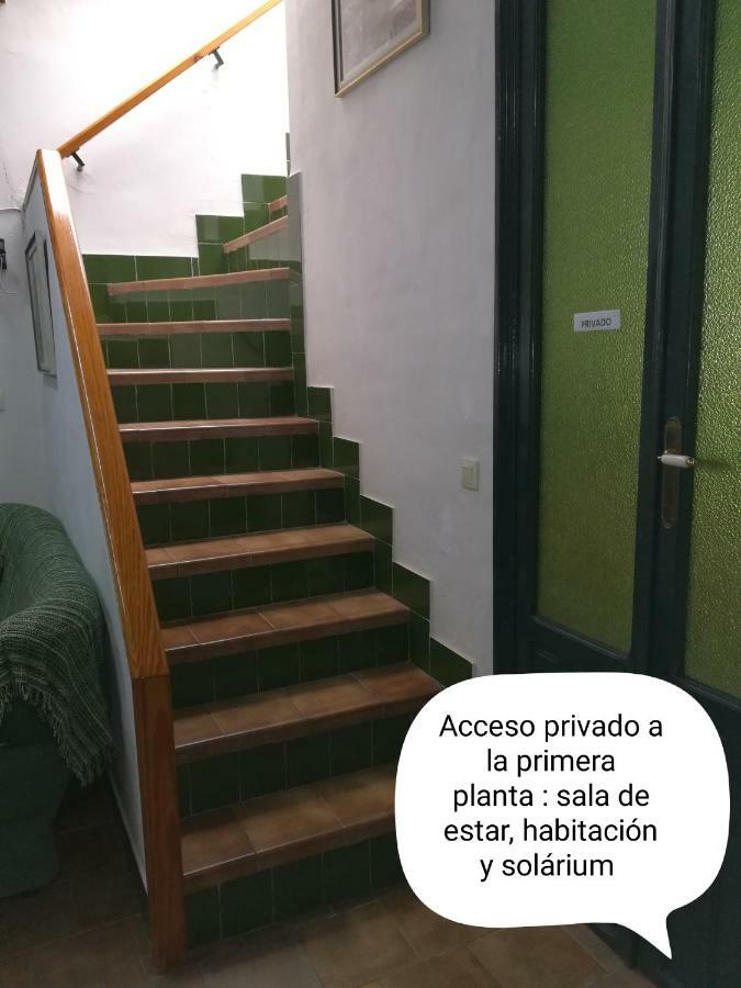 Apartament Sun & Palm Trees Balsares Zewnętrze zdjęcie