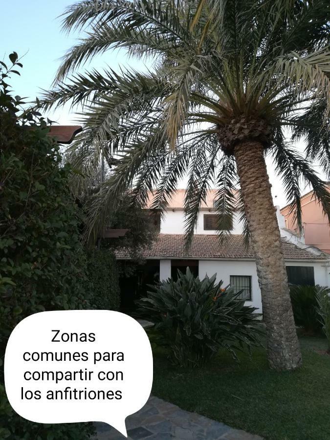Apartament Sun & Palm Trees Balsares Zewnętrze zdjęcie
